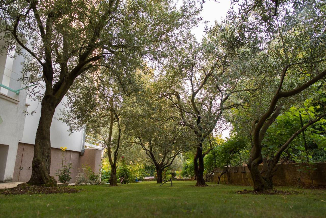 Apartments Villa Lena Zadar Exterior foto